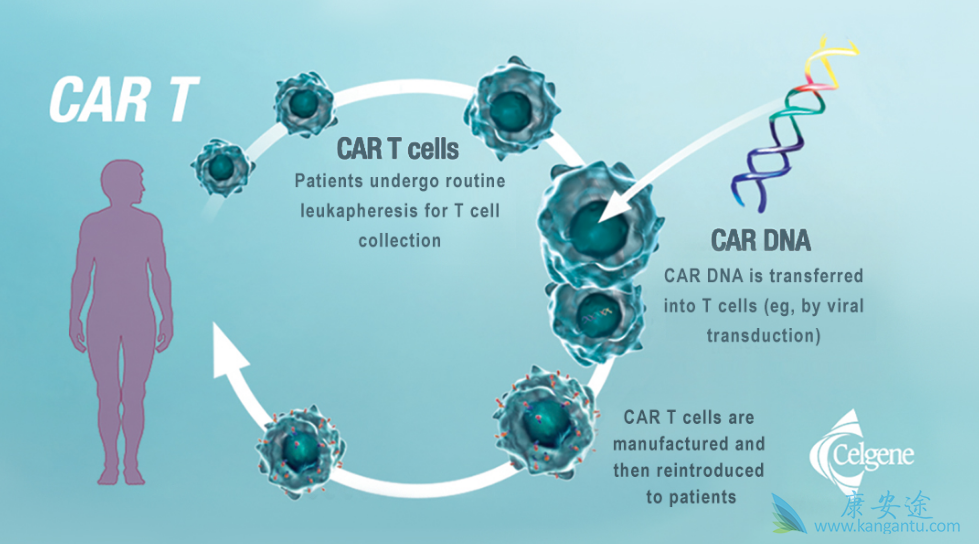 CAR-T