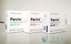 palbociclib¸ER+ٰ