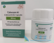 NIVOLUMABӿ(Cabozantinib)Ч