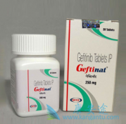 (Gefitinib)񾭽ϸĿ