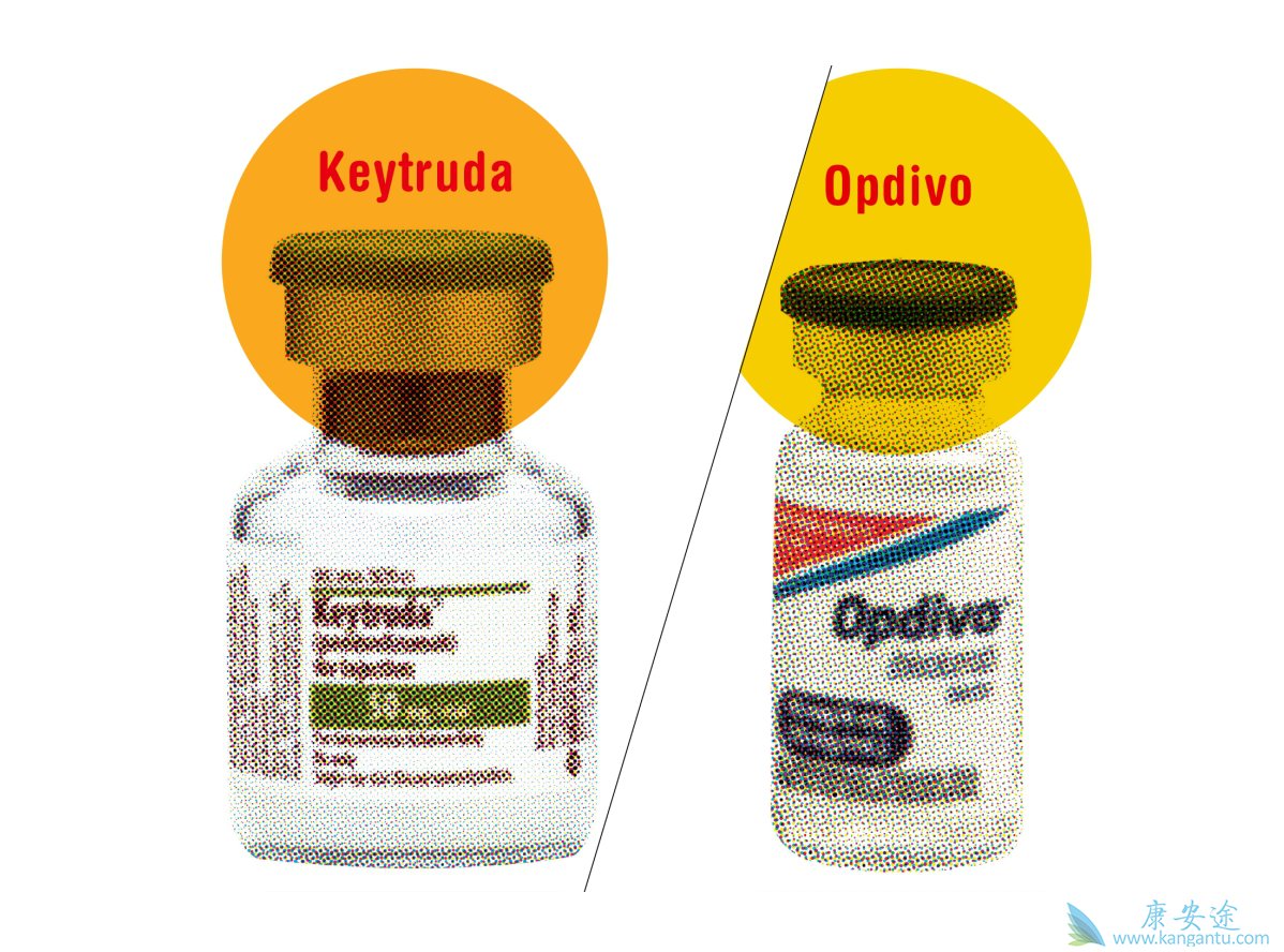 PD-1ƼKeytruda