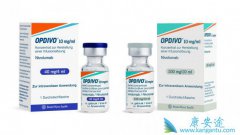 PD-1(䵥)ҩPD-1(atezolizumab)ע